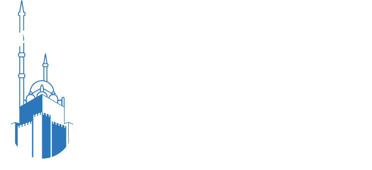 Misr Finance